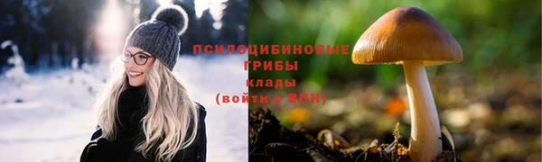 2c-b Тайга