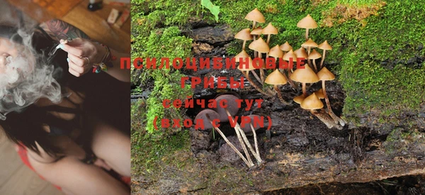 ALPHA PVP Вязьма