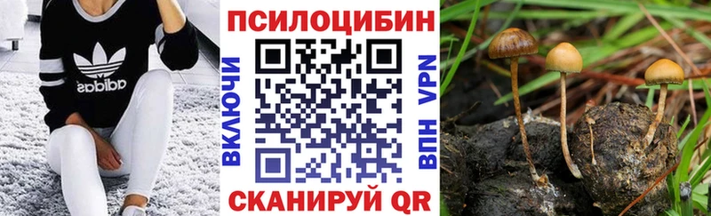где купить наркоту  Снежинск  МЕГА ONION  маркетплейс формула  Галлюциногенные грибы MAGIC MUSHROOMS 